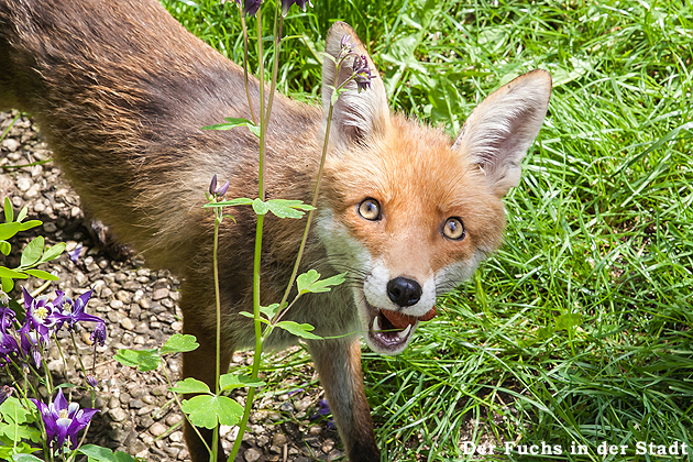 Bilder von Peter Kr�mer