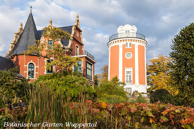 Bilder von Peter Kr�mer