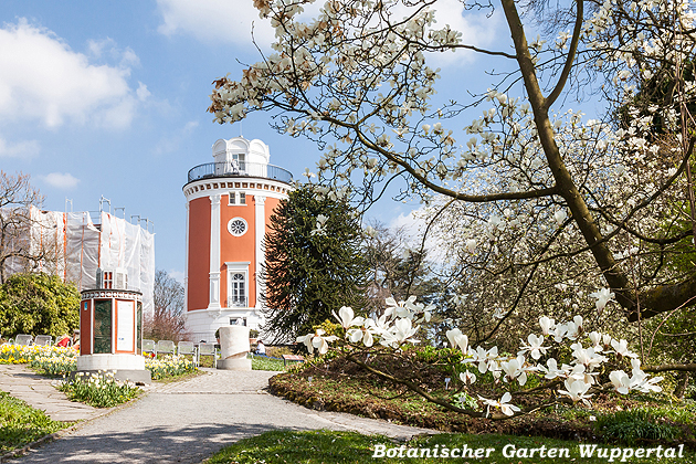 Bilder von Peter Kr�mer