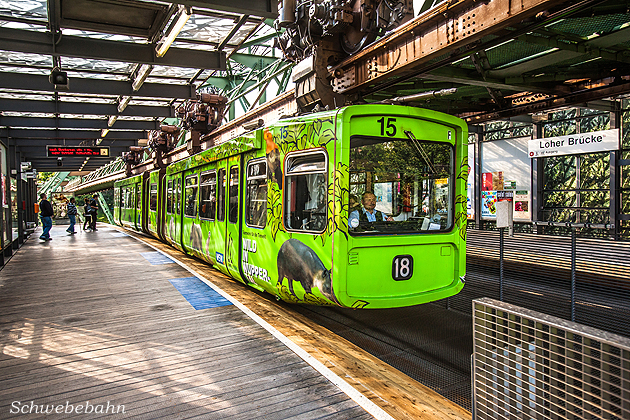 Bilder von Peter Kr�mer
