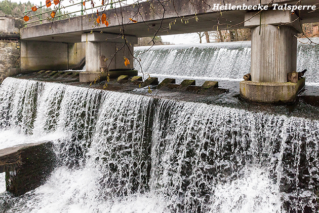 Bilder von Peter Kr�mer