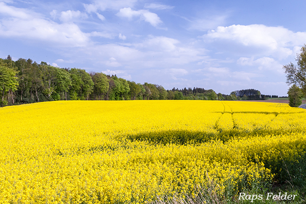 Bilder von Peter Kr�mer